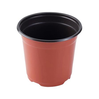 [พร้อมส่ง] กระถางต้นไม้ ชัยโย 4 นิ้ว 15 ใบ Planting Pots &amp; Accessories