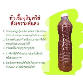 จุลินทรีย์สังเคราะห์แสง PSB หมักมากกว่า 1 เดือน ขนาดบรรจุ 600mL