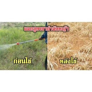 N🔥(เห็นผลใน1-3วัน)🔥กำจัดหญ้า ชีวภาพ กำจัดวัชพืชสูตรชีวภาพ 250 ml. ไร้สารเคมี ใช้กำจัดวัชพืชทุกชนิด ยาฆ่าหญ้า