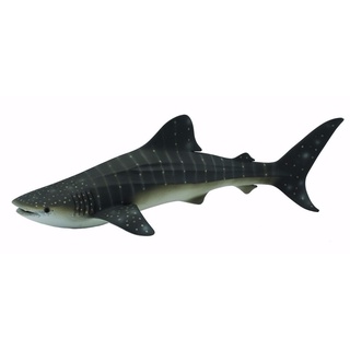 ใหม่ CollectA 88453 โมเดลปลาวาฬ SHARK SHARK ขนาด 24.5 ซม.