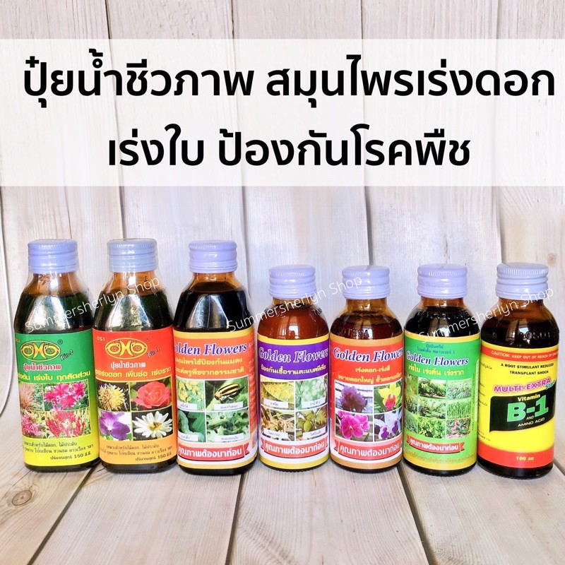 พร้อมส่ง🍀ปุ๋ยน้ำชีวภาพ เร่งราก เร่งดอก ป้องกันโรคพืช ป้องกันรา ป้องกันแมลง วิตามินb1 สารจับใบ