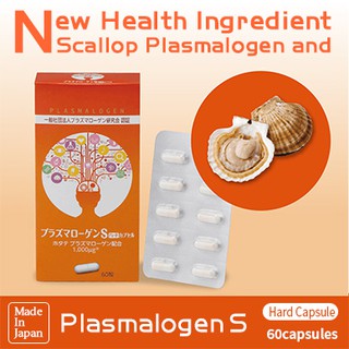 [ EXP. 07/2024] Plasmalogen s Hard Capsule 60แคปซูล สารสกัดจากหอยเชลล์ รักษาโรคอัลไซเมอร์ ความจำเสื่อม จากประเทศญี่ปุ่น