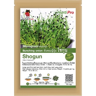 เมล็ดต้นอ่อน ต้นหอมญี่ปุ่น โชกุน Microgeen Bunching onion Shogun บรรจุ 10 g.