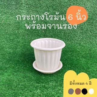 กระถางต้นไม้ กระถางต้นไม้พลาสติก กระถางโรมัน จานรองกระถางต้นไม้ 6 นิ้ว สีดำ สีขาว สีอิฐ สีเทา