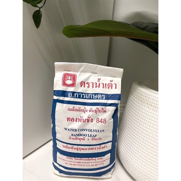 ใช้โค้ตพร้อมกันได้ ผักบุ้งตรานำ้เต้า ขนาด 1กก. เมล็ดผัก เมล็ดผักบุ้ง ผักบุ้ง ตรานำ้ต้า