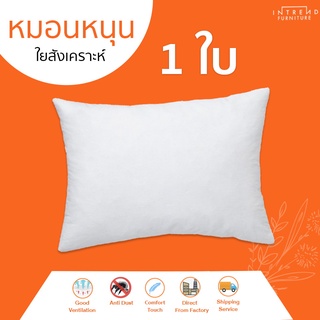 Furniture Intrend หมอนหนุนสุขภาพ ป้องกันไรฝุ่น (White) 1 ใบ