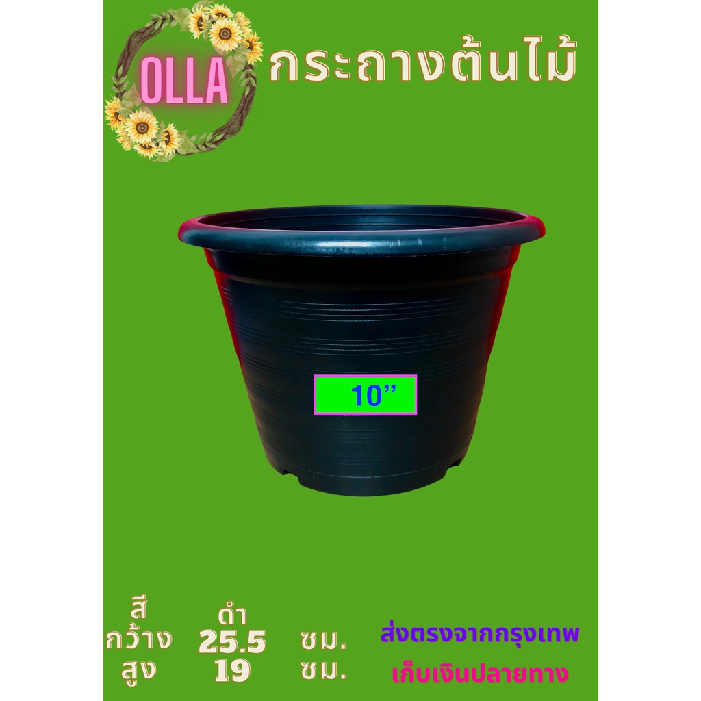 กระถางต้นไม้พลาสติก 10 นิ้ว จำนวน 15 ใบ