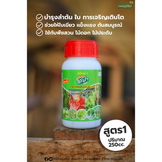 ปุ๋ยบำรุงใบและลำต้น รุ่งโรจน์1 ไม้สวยด้วยสปา ชนิดน้ำ [ปริมาณ 250 cc.]