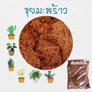 ขายดี สวนครัว/ขุยมะพร้าว 1-5 ลิตร (แบ่งขาย) ผสมดิน เป็นวัสดุปลูก แคคตัส กระบองเพชร ไม้ฟอกอากาศ/อินทรีย์ คละ สวนครัว ดอก