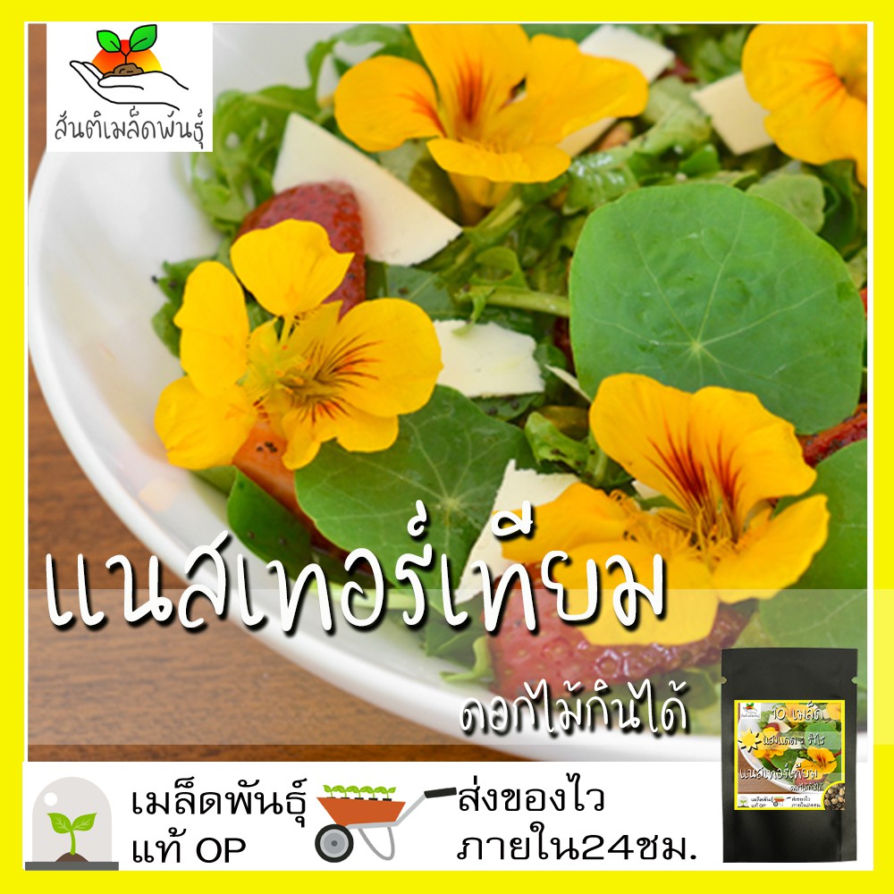 เมล็ดพันธุ์ แนสเทอร์เทียม คละสี 10 เมล็ด Mix Nasturtium Seed เมล็ดพันธุ์แท้ นำเข้าจากต่างประเทศ ปลูกผัก สวนครัว ถูกดี