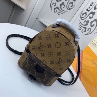 Louis vuitton Palm Springs