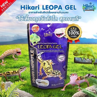 Hikari Leopa Gel อาหารสำหรับสัตว์เลื้อยคลานที่กินแมลง อาหารตุ๊กแก 60g