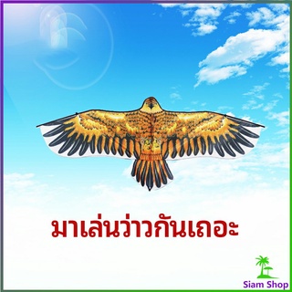 ว่าว นกอินทรีย์ ว่าวไล่นก ว่าวไล่ ศัตรูพืชว่าวเด็ก อุปกรณ์ว่าว kite