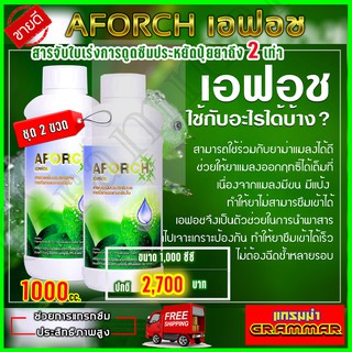 เอฟอช Aforch สารจับใบ ปุ๋ยนำ้เอฟอช ( ขนาด 1000 ซีซี 2 ขวด ) ชนิดเร่งดูดซึมไว ของแท้ 100% ส่งฟรีเก็บเงินปลายทาง