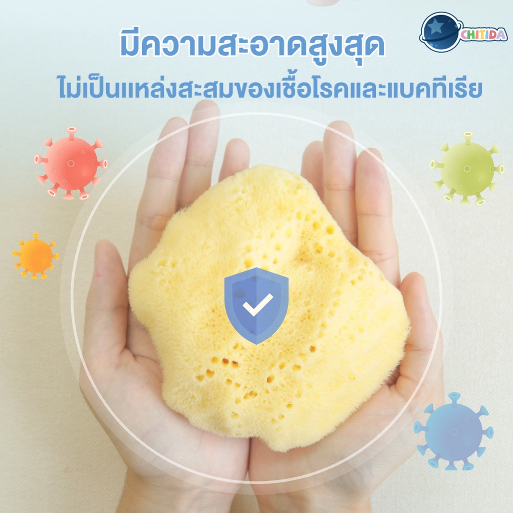 Chitida Natural Mediterranean Sea Sponge ฟองน้ำธรรมชาติ 100 ชนิด Fine ...