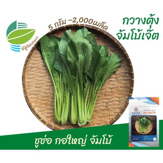 ผักกาดกวางตุ้ง (Pak Choy)​