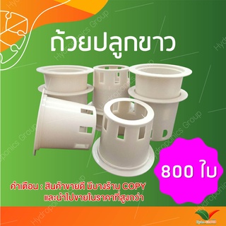 ถ้วยปลูกผักไฮโดรโปนิกส์ใช้ซ้ำ 1 ชุด จำนวน 800  by hydroponicgroup