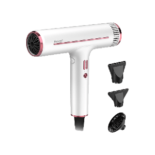 [ฟรีของแถม]PANDO Brushless Hair Dryer แพนโด้ ไดร์เป่าผมไฟฟ้า รุ่น Brushless