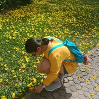 Profile sunthareeboonmaruang