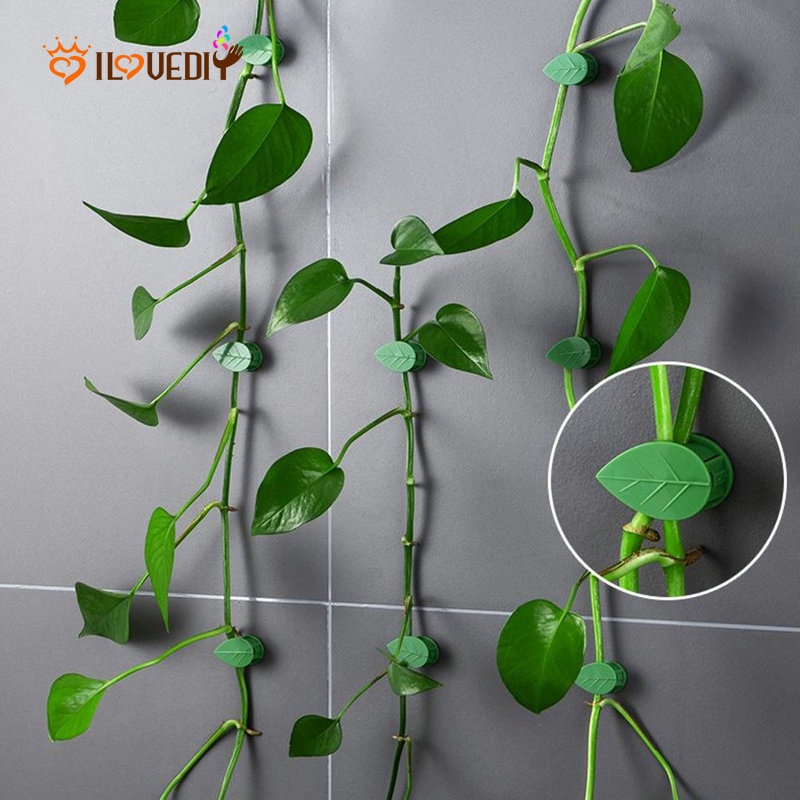 คลิปตะขอหวาย มีกาวในตัว ซ่อนได้ สีเขียว สําหรับแขวนต้นไม้ ปีนเขา 10 ชิ้น
