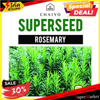 เมล็ดพันธุ์โรสแมรี ชัยโย 10 เมล็ด เมล็ดพันธุ์ ROSEMARY 10 SEEDS ต้นไม้และเมล็ดพันธุ์