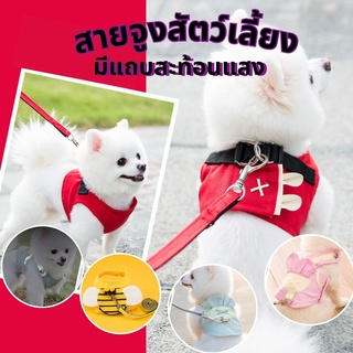 🐶 สายจูงสัตว์เลี้ยง 🐶  สายจูงแมว  เชือกจูงสัตว์เลี้ยง ที่จูงสัตว์ ที่จูงสัตว์เลี้ยง พร้อมแถบสะท้อนแสง สายจูงหมา