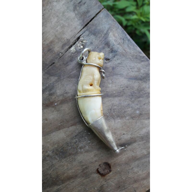 My Image 26