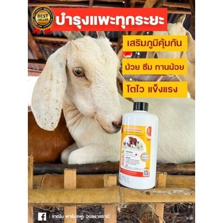 ผลิตภัณฑ์เสริมภูมิคุ้มกัน โค กระบือ แพะ สูตรสัตวแพทย์ - Nature Plus