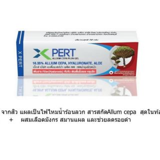 Scare X-pert ผลิตภัณฑ์ลบรอยดำ รอยแผลเป็น มีส่วนผสมของ dragon blood