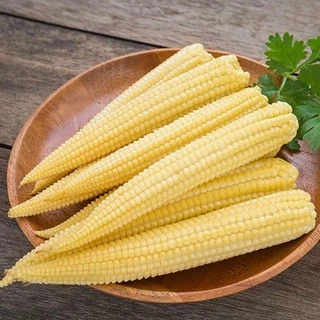 ชุดข้าวโพด 🌽เมล็ดพันธุ์ข้าวโพดทุกสายพันธุ์🌽 2-20 เมล็ด ปลูกง่าย 🚜พันธุ์แท้🚜 ผลผลิตเร็ว ราคาถูก 9บ. [10 แถม1คละได้]