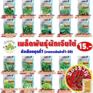 เมล็ดอวบอ้วน100%[10แถม2] เจียไต๋ เมล็ดพันธุ์  ผักโขมใบกระ Amaranth  ประมาณ 1,000 เมล็ด  ตราเจียไต๋ เมล็ดพันธุ์ผัก เมล็ดผ