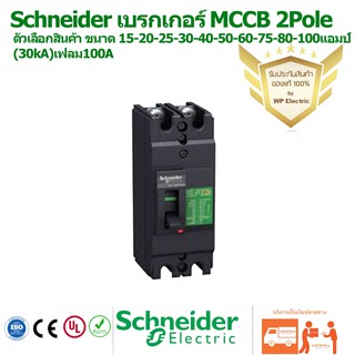 เบรกเกอร์MCCB Schneider  Circuit breaker Easypact 2 Pole EZC100H ขนาด15-100A