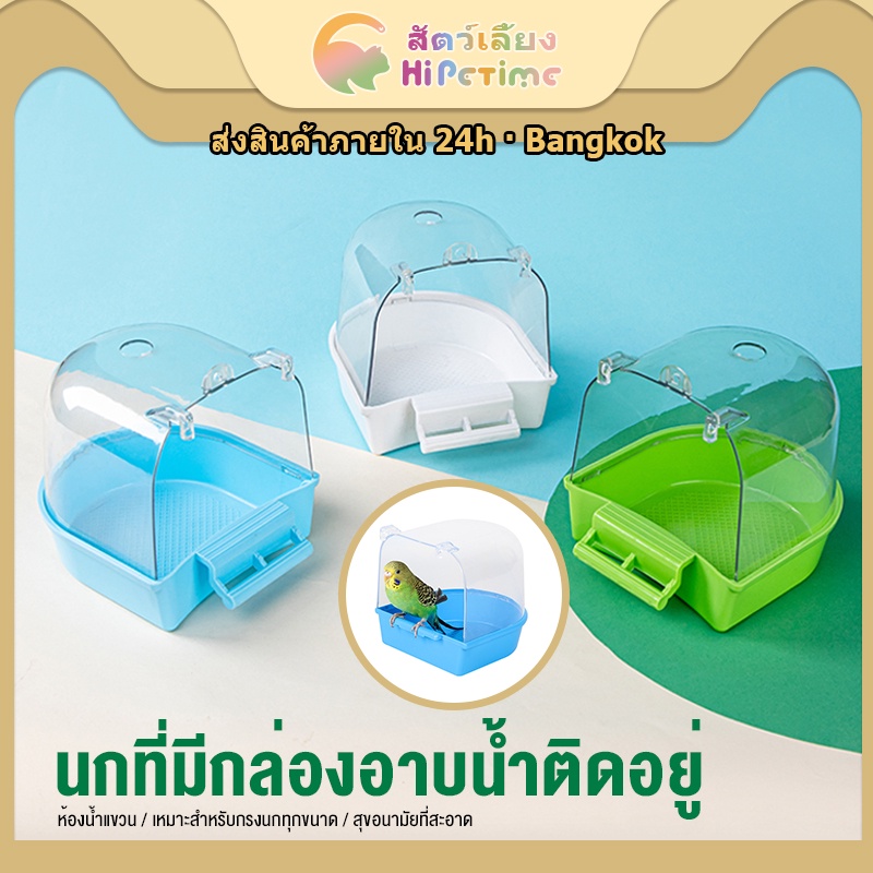 นกแก้วอ่างอาบน้ําดอกโบตั๋น, หนังเสือ, นกเหวิน, สะอาดพร้อมอ่างอาบน้ํา
