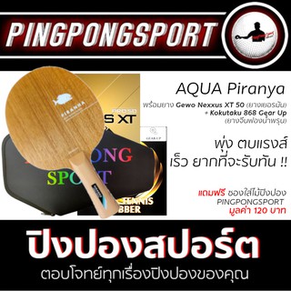 ไม้ปิงปอง Aqua Piranya + ยางปิงปอง Gewo Nexxus XT50 + ยางปิงปอง Kokutaku 868 GearUp แถมฟรีซอง Pingpongsport สีดำสุดเท่ห์