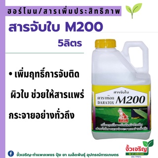 สารจับใบM200 (5ลิตร) เพิ่มฤทธิ์การจับติดผิวใบพืช ช่วยให้สารแพร่กระจายอย่างทั้วถึง