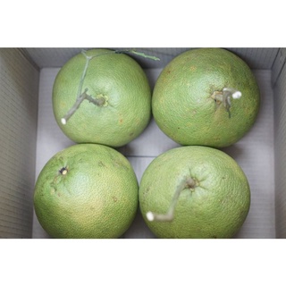 ***พร้อมส่ง!ส้มโออร่อย(ต้องส้มโอขาวน้ำผึ้ง"นครชัยศรี)ไซส์M"14นิ้วx3ลูก