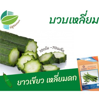 บวบเหลี่ยม (Ridge Gourd)​