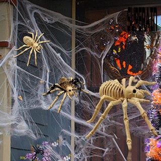 &lt;Halloween Decoration&gt; โมเดลโครงกระดูกแมงมุม พลาสติก กันอากาศ สําหรับตกแต่งบ้าน ปาร์ตี้ฮาโลวีน