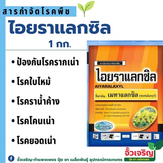 ไอยราแลกซิล สารป้องกันกำจัดโรคพืช  โรครากเน่า โรคโคนเน่า โรคผลเน่า โรคใบไหม้ เมทาแลกซิล