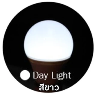 หลอดไฟLED IWACHI หลอดBulb ตกไม่แตกทนแดดทนฝน ใช้งานภายนอกได้ รับประกันทุกหลอด