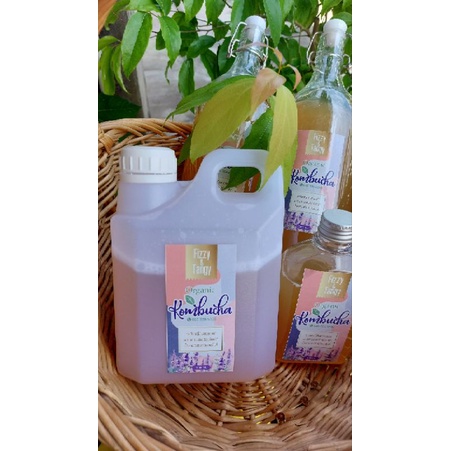 Fizzy & Tangy คอมบูชา 2ลิตร