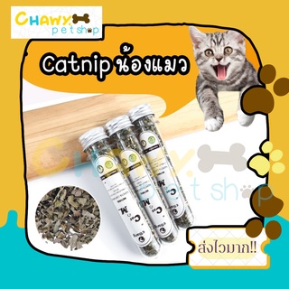 Catnip ออร์แกนิคแบบหลอด แมว แคทนิบ