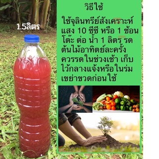 จุลินทรีย์สังเคราะห์แสง 1.5 ลิตร น้ำหมัก ปุ๋ยอินทรีย์ คุณภาพสูง