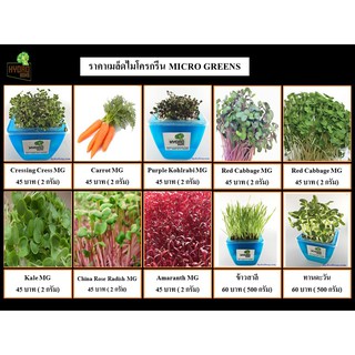 เมล็ดเพาะงอก Microgreen 2 กรัม (700-1000เมล็ด)