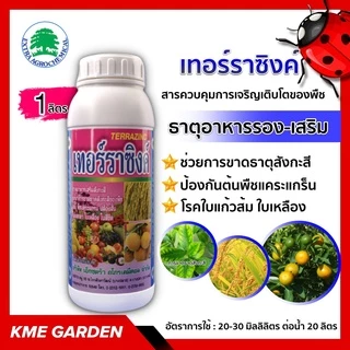อาหารเสริม เทอร์ราซิงค์ ขนาด 1 ลิตร ช่วยการขาดธาตุสังกะสี เพราะธาตุนี้เป็นส่วนของเอ็นไซม์ สังกะสี(Zn) 9.65%