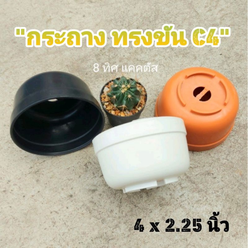 กระถาง C4ทรงขัน 4 นิ้ว // กด 50 ใบ 240 บาท -- ทรงขัน C4 -- กระถางแคคตัส กระบองเพชร กระถางพลาสติก