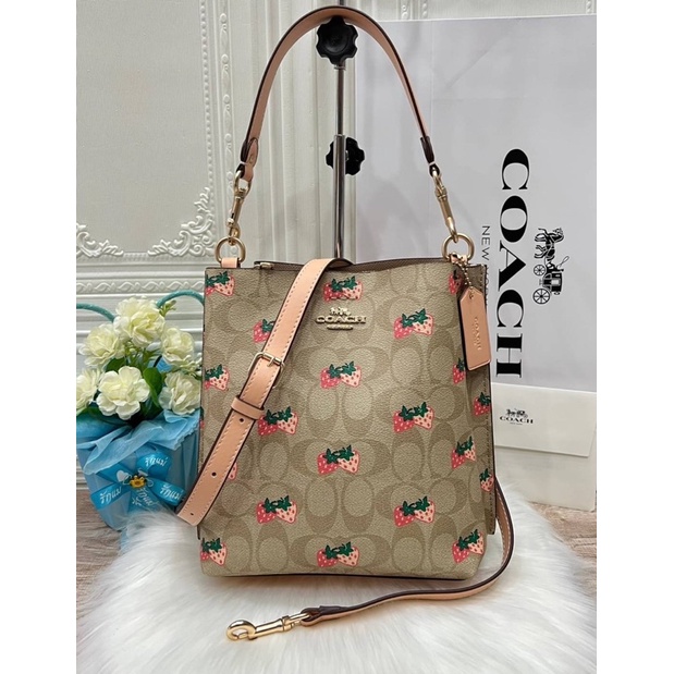 🇺🇸Coach Mollie Bucket Bag Signature Canvas With Strawberry Print