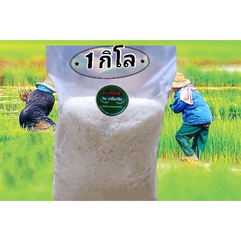 ข้าวหอมมะลิแท้100% พันธุ์​105​ จ.กาฬสินธุ์​ลูก​ชาวนาขายเอง