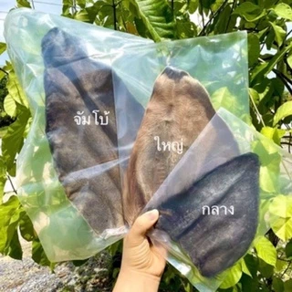 หูวัวอบเเห้งเกรดเอคัดใหญ่พิเศษ บรรจุ 1 ชิ้น (ซื้อ10เเถม1)