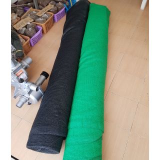 **ถูกที่สุด** สเเลนสีเขียวเเละสีดำ
